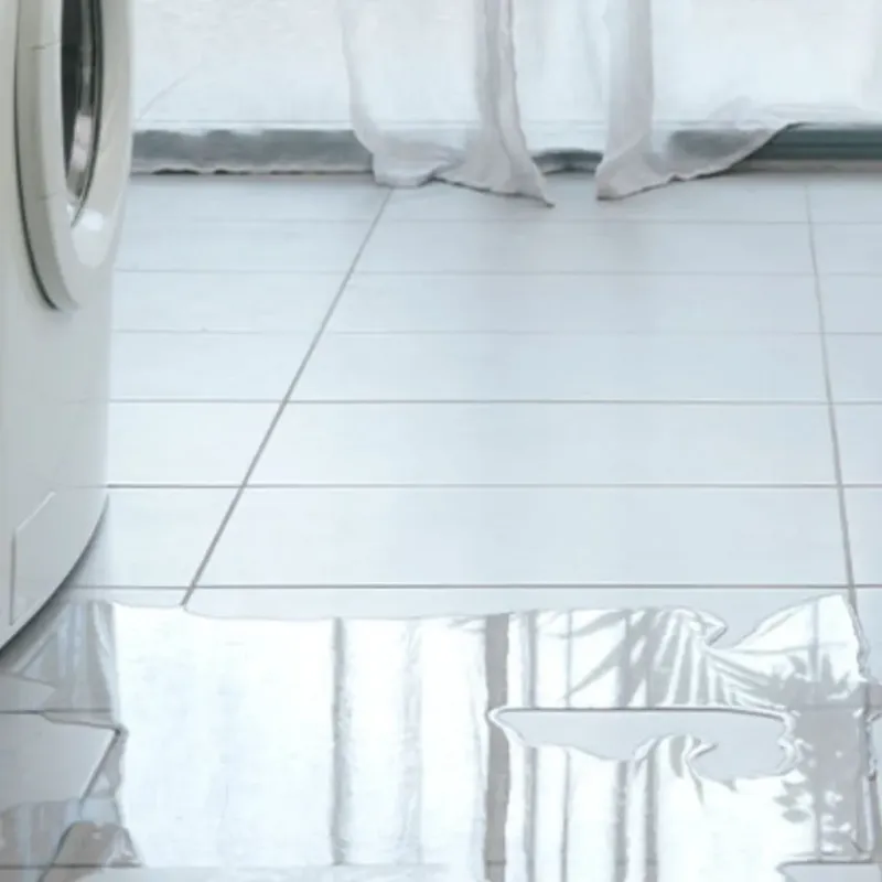 Appliance Leak Cleanup in Cavalier, ND