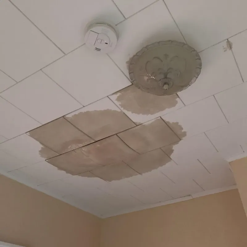 Ceiling Water Damage Repair in Cavalier, ND